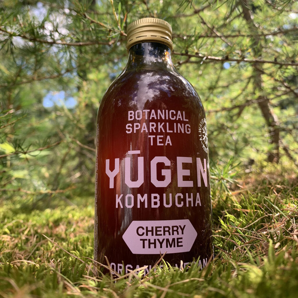 Bouteille de Yugen Kombucha saveur Cerise Thym posée sur des aiguilles de pin avec en toile de fond des branches de pin vertes, soulignant les qualités biologiques et végétaliennes de la boisson.